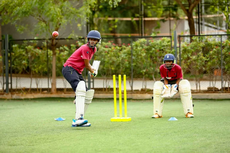 Cricket
