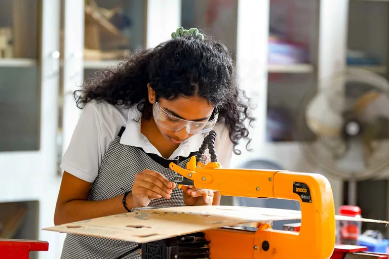 Robust and flexible curriculum
